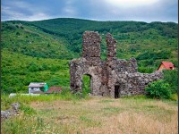 Замок Канків Виноградів