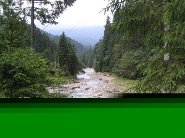 Tereblya