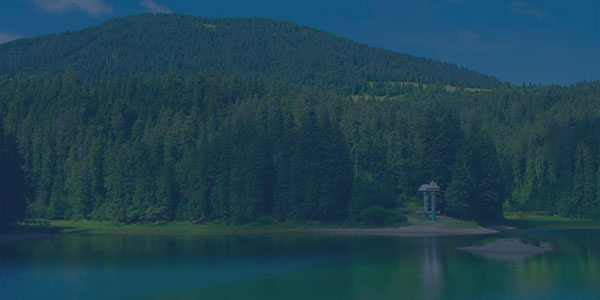 Закарпаттячко
